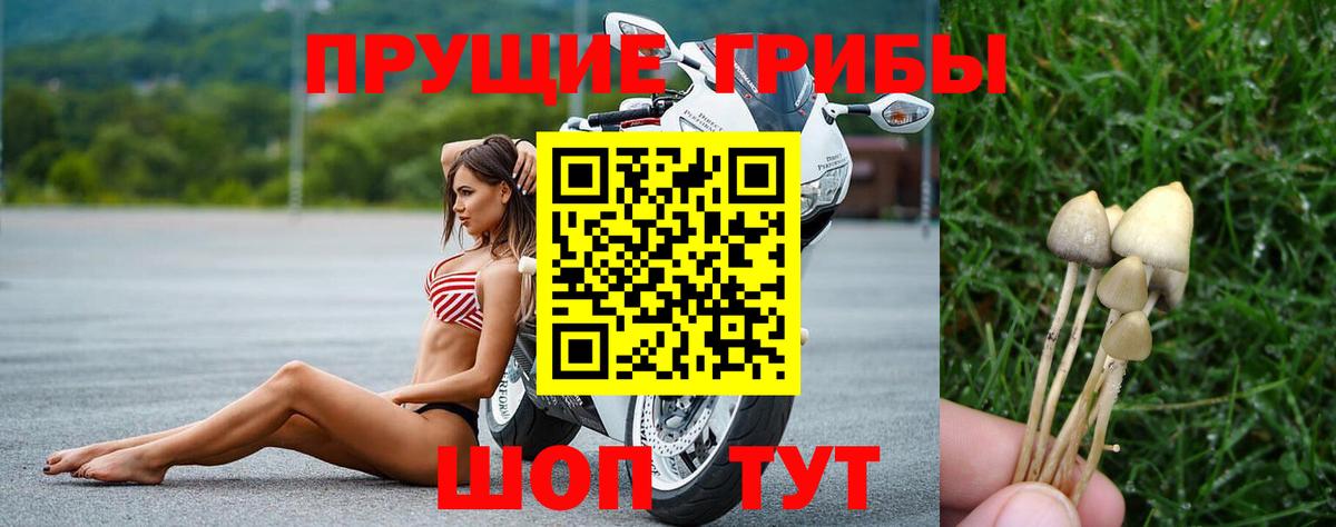 Галлюциногенные грибы мухоморы Вятские Поляны