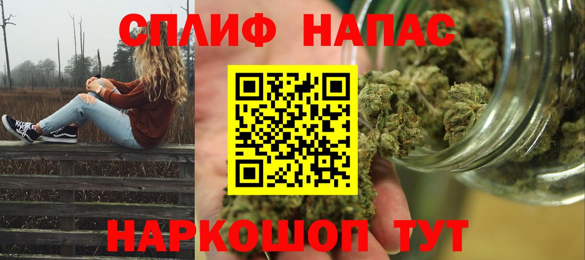 Марихуана MAZAR  Вход с VPN  Вятские Поляны  Конопля сатива 